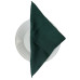 Серветка лляна Linen Style SoundSleep зелена 30х30 см