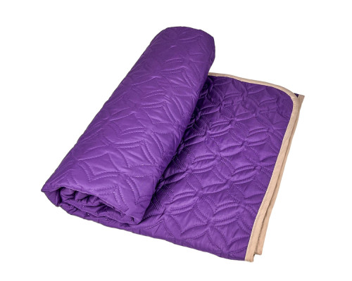 Покривало двустороннє Soft Dream SoundSleep пурпурно-ванільне 200х220 см